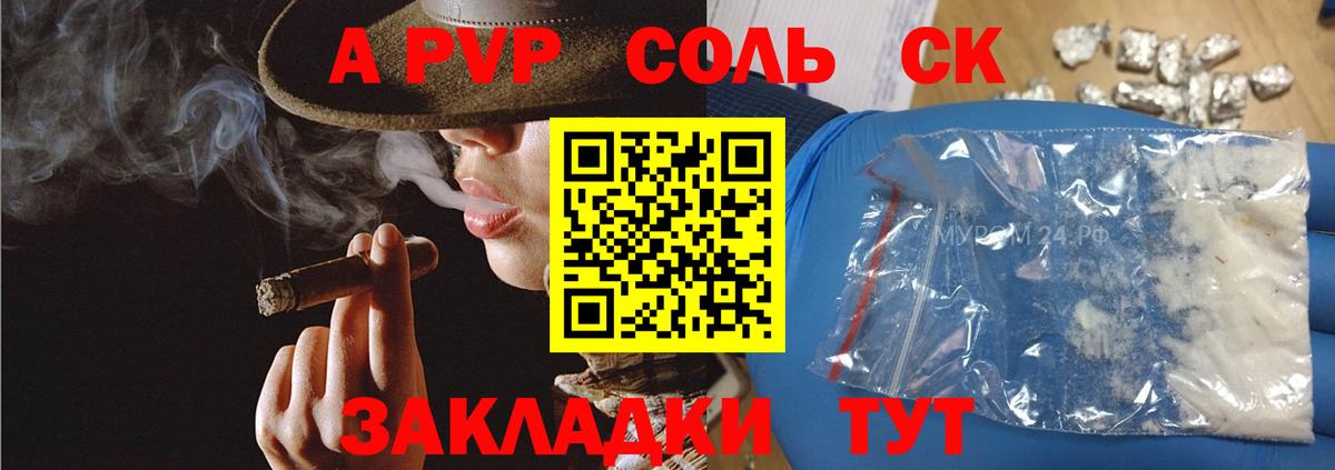 Коряжма  A-PVP СК КРИС  APVP СК КРИС  Вход с VPN 