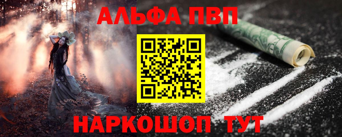 Alfa_PVP СК Коряжма
