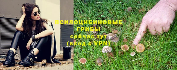 мдма Новодвинск