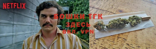 мдма Новодвинск