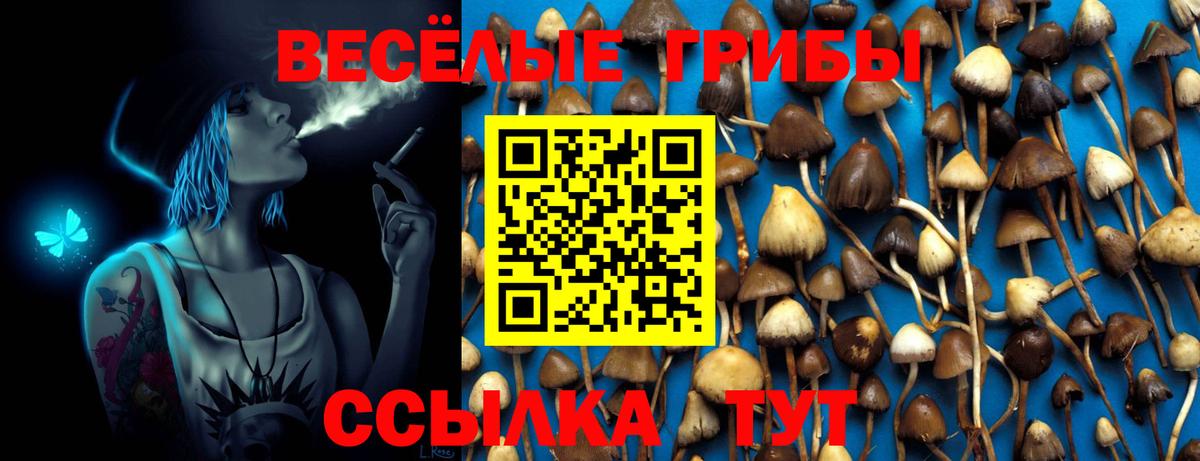 Галлюциногенные грибы ЛСД  Вход с VPN  Коряжма 